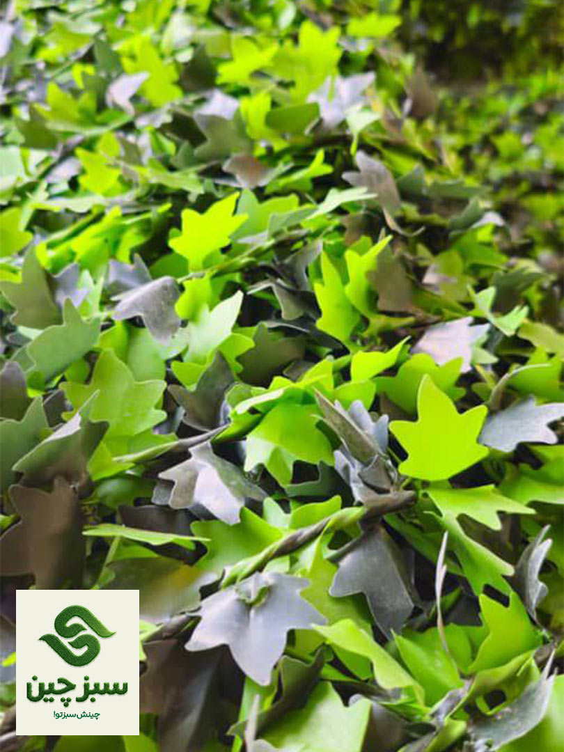 23 فنس برگ انگور - سبزچین چمن