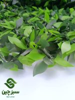 فنس برگ ریحون - سبزچین چمن