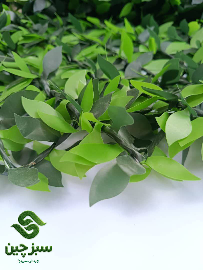 24 فنس برگ ریحون - سبزچین چمن