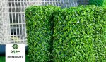 فنس چمن مصنوعی برگ انگور - سبزچین
