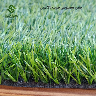 چمن طرب 25 میل - سبزچین