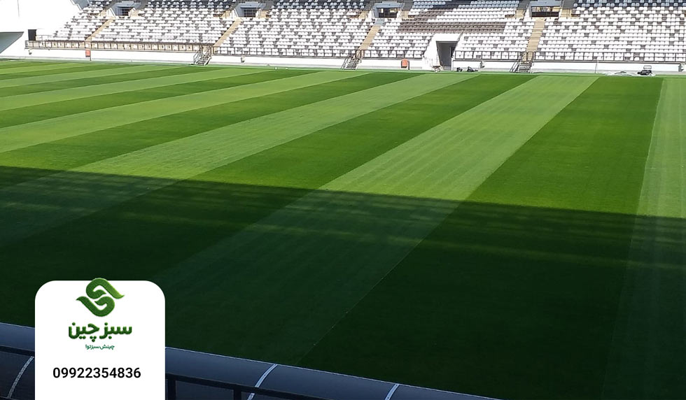چمن مصنوعی در عراق 4 چمن مصنوعی در عراق - سبزچین چمن
