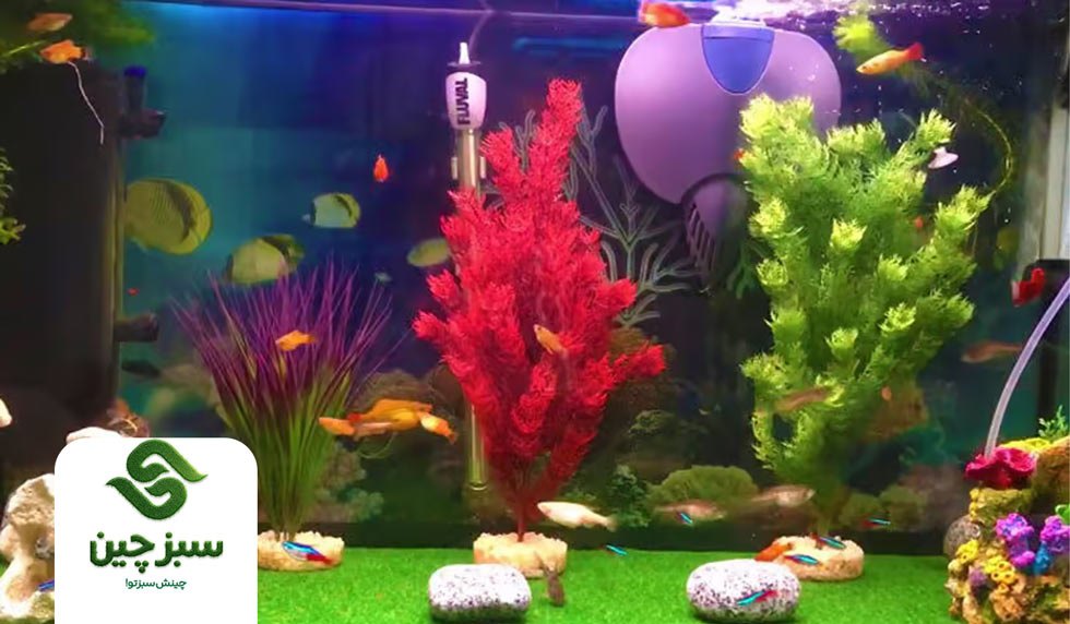 تزیین آکواریوم با چمن مصنوعی - سبزچین