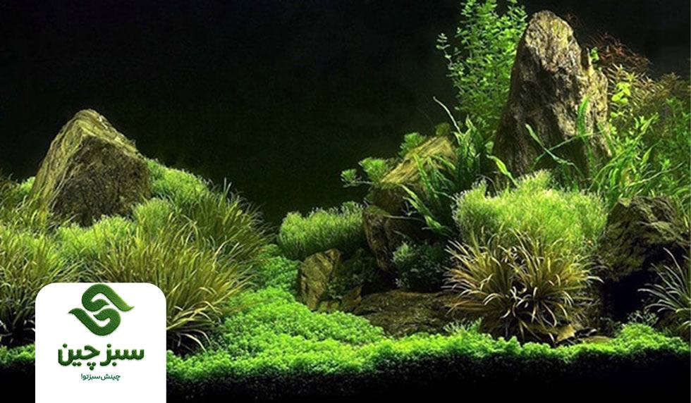 چمن مصنوعی آکواریوم - سبزچین